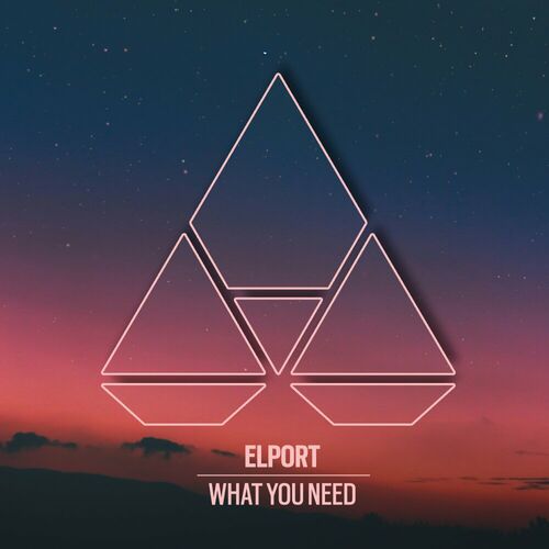 VA - Elport - What You Need (2024) (MP3) 500x500-000000-80-0-0