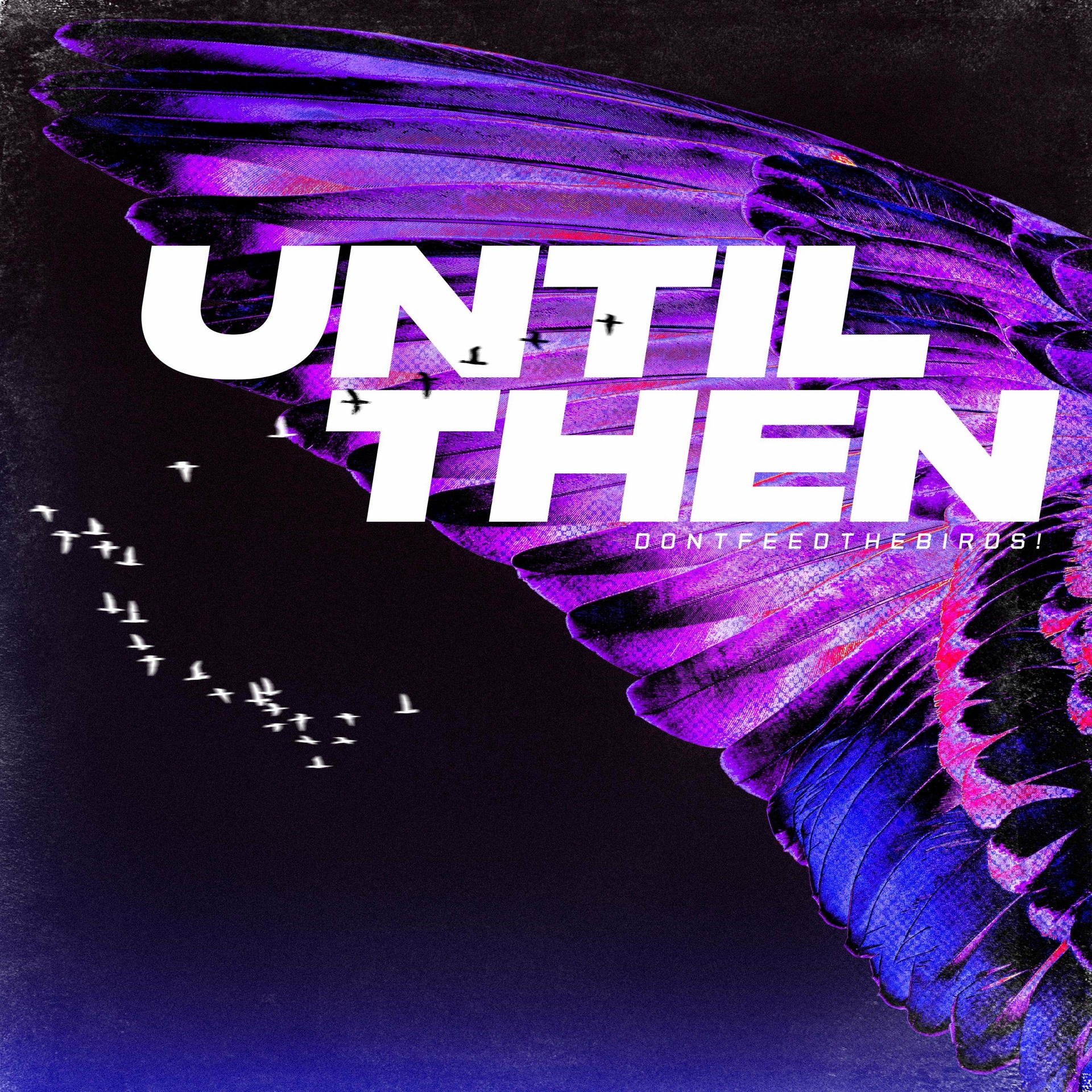 Dontfeedthebirds - Until Then (Reissue) [Single] (2023)