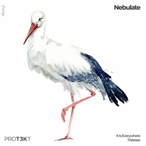  Nebulate - It Is Everywhere/Tristesse (2023)  500x500-000000-80-0-0