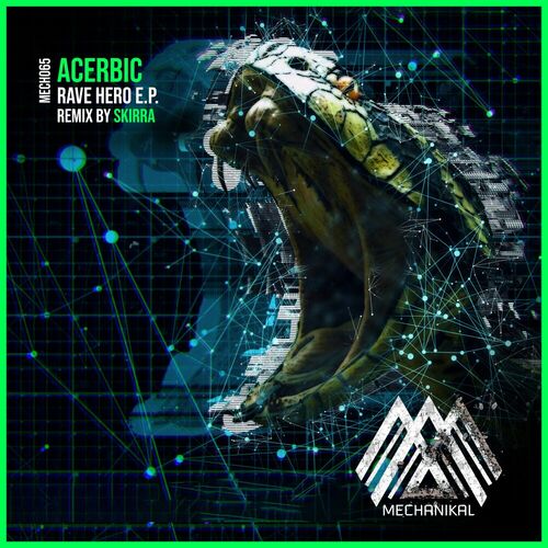 Acerbic - Rave Hero (2024)