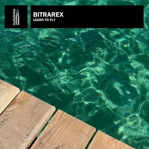  Bitrarex - Learn To Fly (2023) 