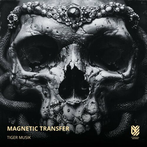 VA - Tiger Musik - Magnetic Transfer (2024) (MP3) 500x500-000000-80-0-0