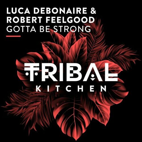  Luca Debonaire & Robert Feelgood - Gotta Be Strong (2023) 