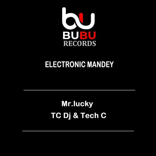  Mr.Lucky - Electronic Mandey (2024) 