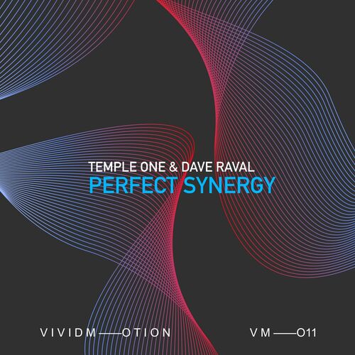  Temple One & Dave Raval - Perfect Synergy (2023) 