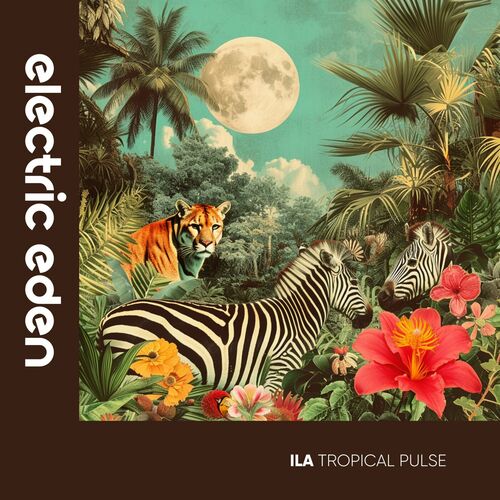  ILA - Tropical Pulse (2024) MP3 500x500-000000-80-0-0