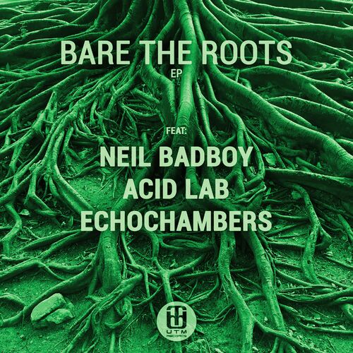  Echochambers & Acid Lab & Neil Badboy - Bare the Roots (2023) 