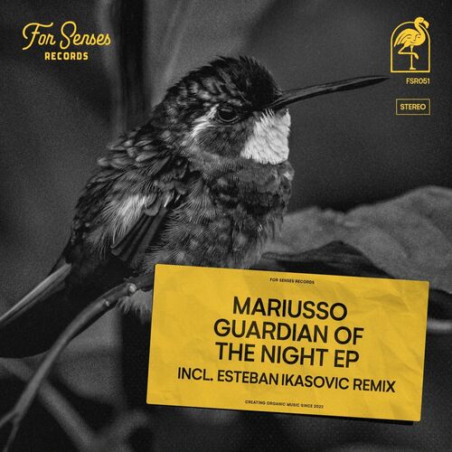 VA -  Mariusso - Guardian of the Night (2024) [MP3] 500x500-000000-80-0-0