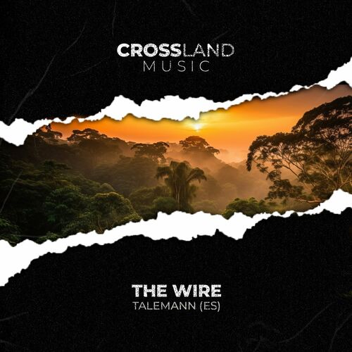  Talemann (ES) - The Wire (2024) 