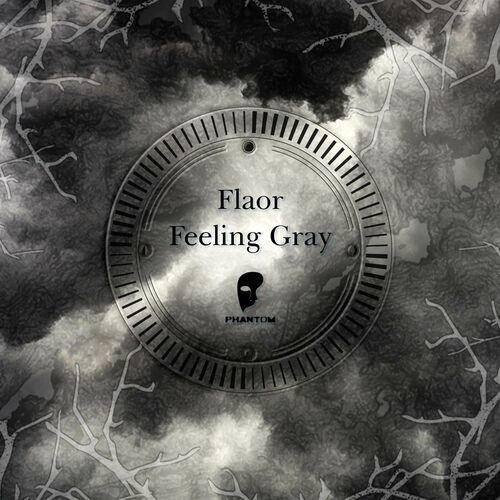  Flaor - Feeling Gray (2023) 