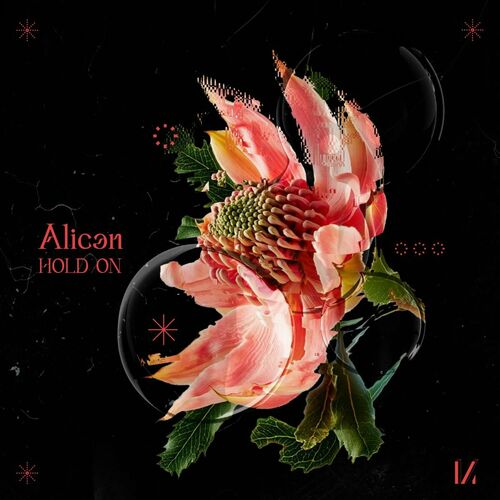  Alican - Hold On (2023) 