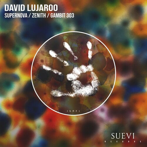  David Lujaroo - Supernova / Zenith / Gambit 303 (2023) 