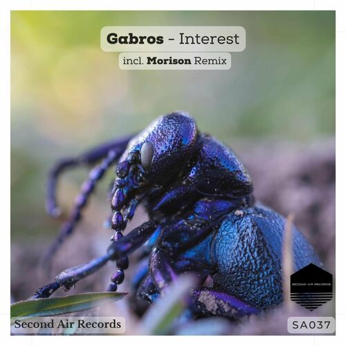  Gabros - Interest (2023) 