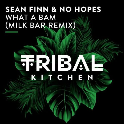  Sean Finn & No Hopes - What a Bam (Milk Bar Remix) (2023) 
