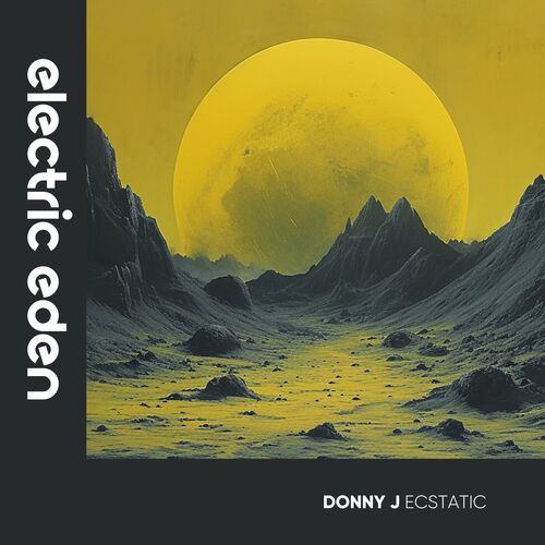  Donny J - Ecstatic (2024) 