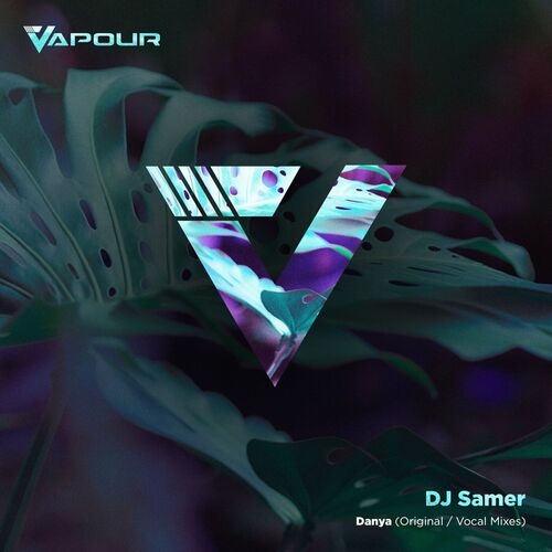  DJ Samer - Danya (2023) 