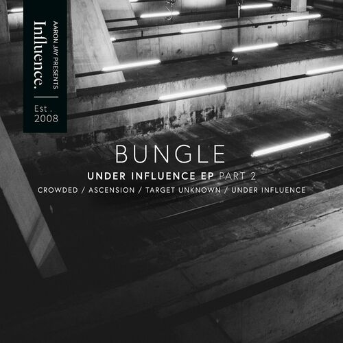  Bungle - Under Influence EP, Pt. 2 (2023) 