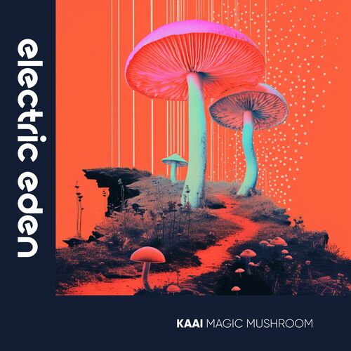  Kaai - Magic Mushroom (2023) 