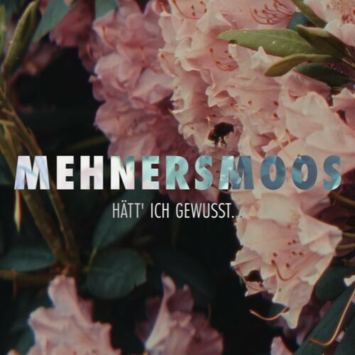  Mehnersmoos - Haett ich gewusst (2024) 