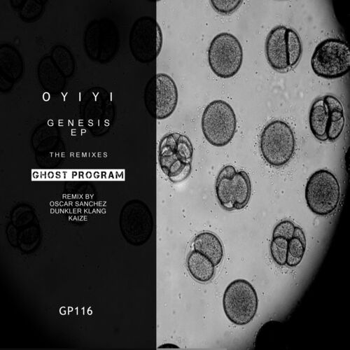  Oyiyi - Genesis The Remixes (2023) 