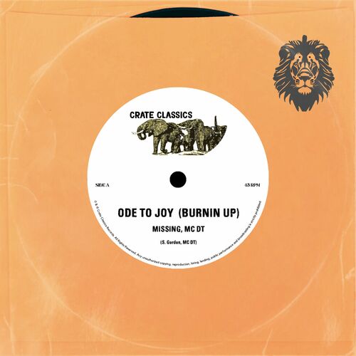  Missing & MC DT - Ode to Joy (Burnin Up) (2023)  500x500-000000-80-0-0