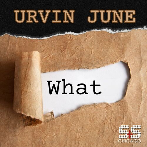 VA - Urvin June - What (2024) (MP3) 500x500-000000-80-0-0