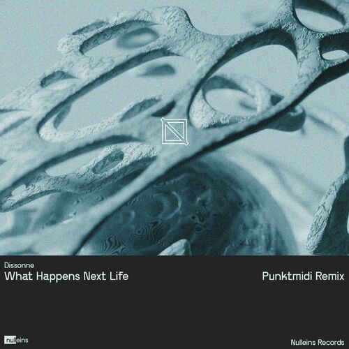 VA -  Dissonne - What Happens Next Life (Punktmidi Remix) (2024) [MP3] 500x500-000000-80-0-0