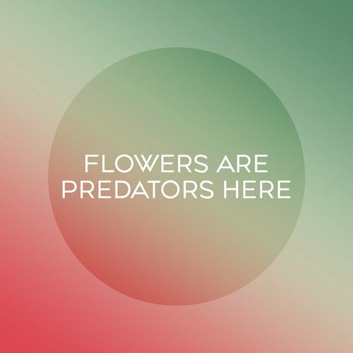  Skyvol - Flowers Are Predators Here (2024) MP3 500x500-000000-80-0-0