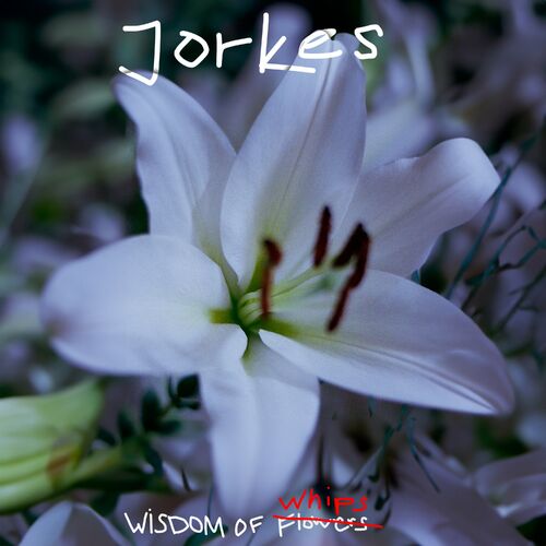  Jorkes - Wisdom of Whips (2024) 