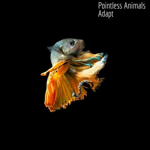  Pointless Animals - Adapt (2023) 