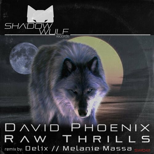  David Phoenix - Raw Thrills (2023) 