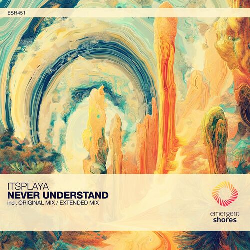 VA -  ItsPlaya - Never Understand (2024) [MP3] 500x500-000000-80-0-0