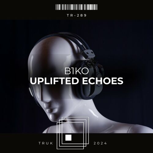 VA - B1ko - Uplifted Echoes (2024) (MP3)