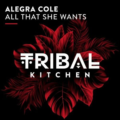  Alegra Cole - All That She Wants (2024) 