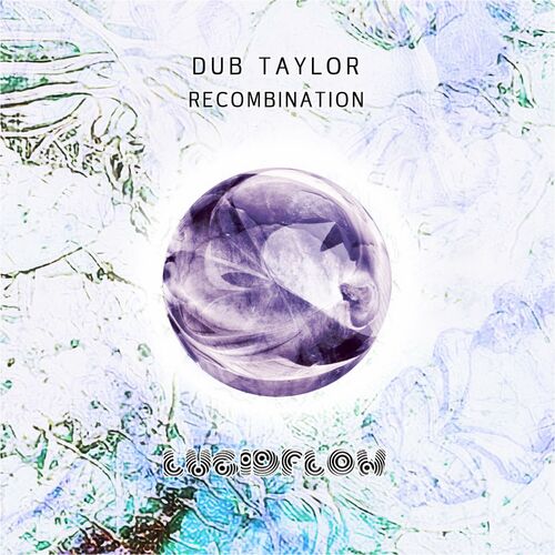  Dub Taylor - Recombination (2023) 
