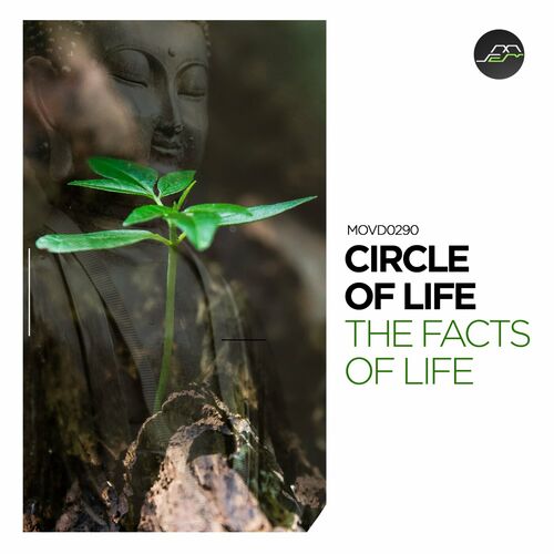 VA - Circle of Life - The Facts of Life (2024) (MP3)