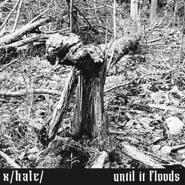 Xhale - Until It Floods [single] (2023)