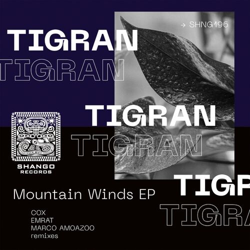  Tigran - Mountain Winds (2023) 