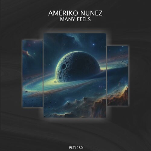  Ameriko Nunez - Many Feels (2024) 