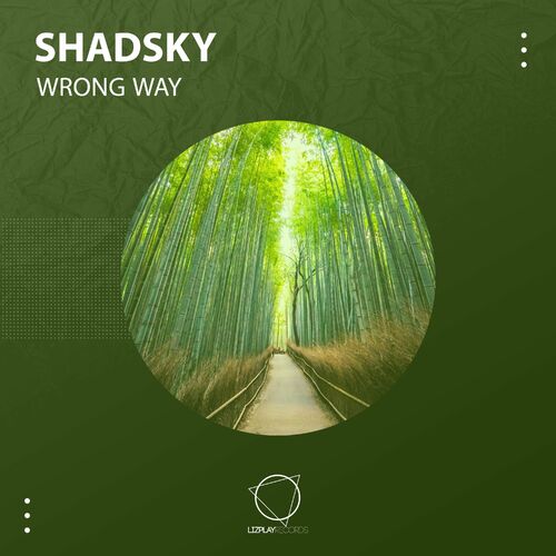  Shadsky - Wrong Way (2023) 