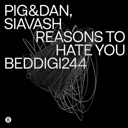 VA - PigandDan with Siavash - Reasons To Hate You (2024) (MP3)