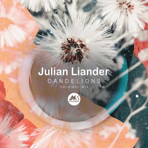  Julian Liander - Dandelions (2023) 
