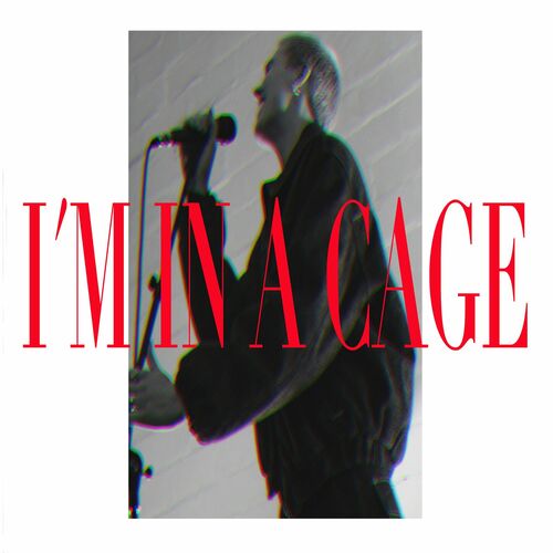  Lalena & David Hasert & Jannis Klimpel ft Cage - I'm in a Cage (20... 500x500-000000-80-0-0