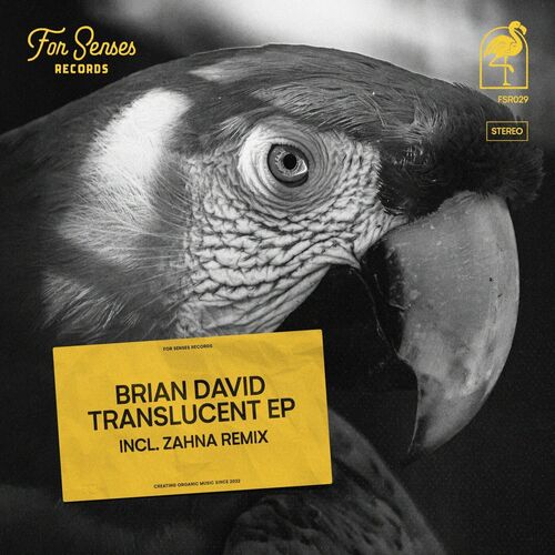  Brian David - Translucent (2023) 