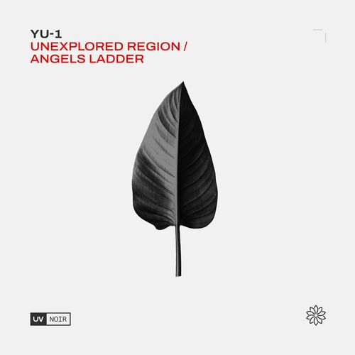  YU-1 - Unexplored Region / Angel's Ladder (2023) 