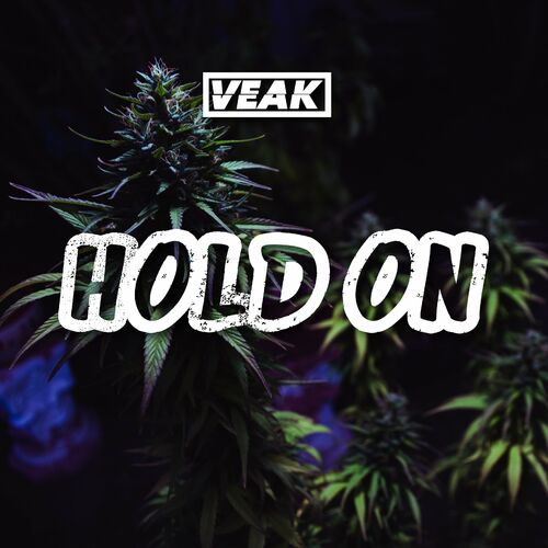  Veak - Hold On (2023) 