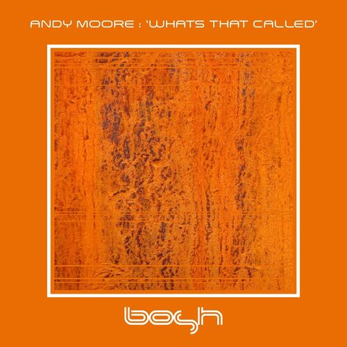  Andy Moore - What's That Called (2023) 
