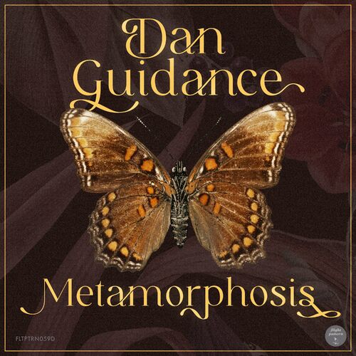  Dan GuiDance - Metamorphosis (2023) 