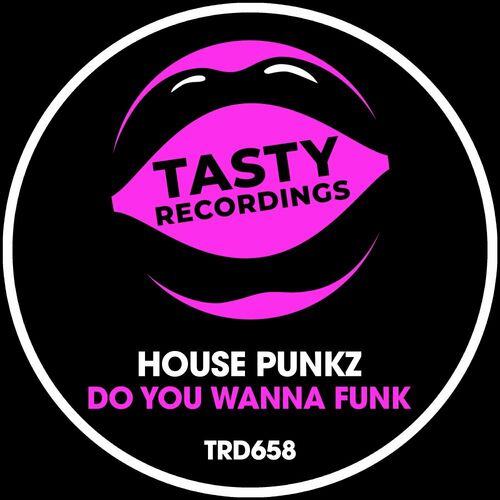  House Punkz - Do You Wanna Funk (2023) 