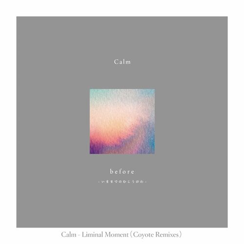  CALM - Liminal Moment (Coyote Remixes) (2023) 